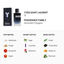 Yves Saint Laurent Y Eau de Parfum for Men 3.3 oz / 100ml – Luxury Designer Fragrance