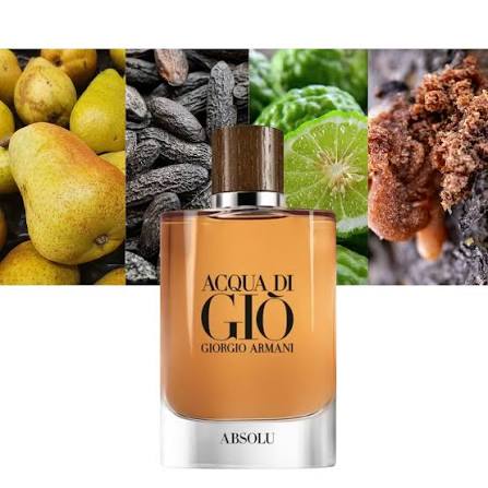 Giorgio Armani Acqua di Giò Absolu Eau de Parfum Spray 100ml – Men's Luxury Fragrance