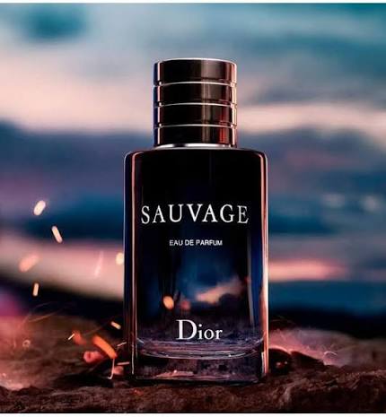 Dior SAUVAGE Elixir Men's 3.4 Fl. Oz/100ml Spray NEW & SEALED